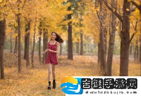 FreeXXXXHDvideo中国