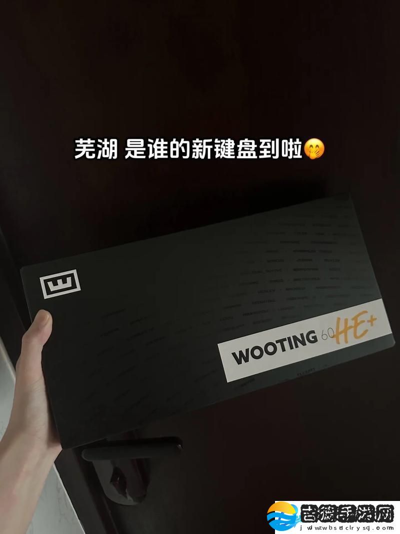 体验刺激CSGO暴躁少女免费展现游戏魅力