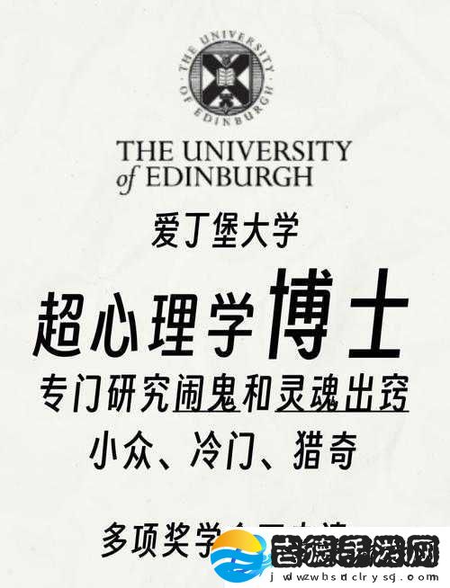 综合一和综合二