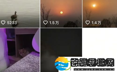 一条小团团更新视频