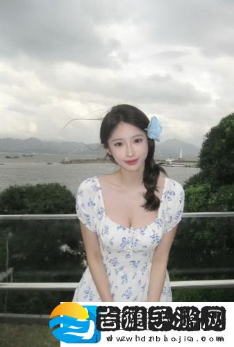 大地资源二中文在线播放官网：探索高质量资源分享平台的魅力与价值