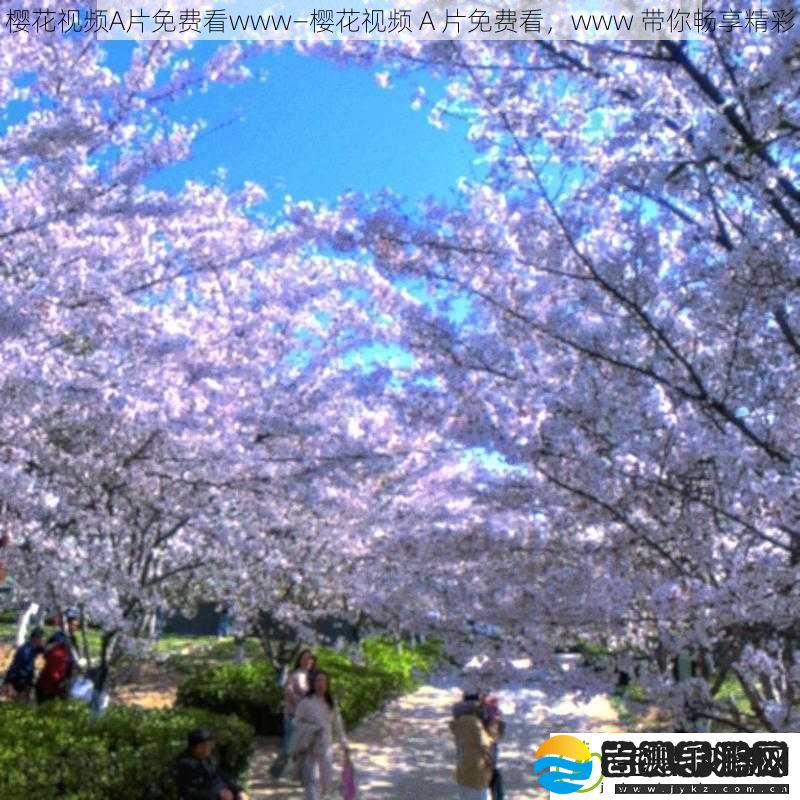 樱花视频A片免费看www—樱花视频A片免费看www带你畅享精彩