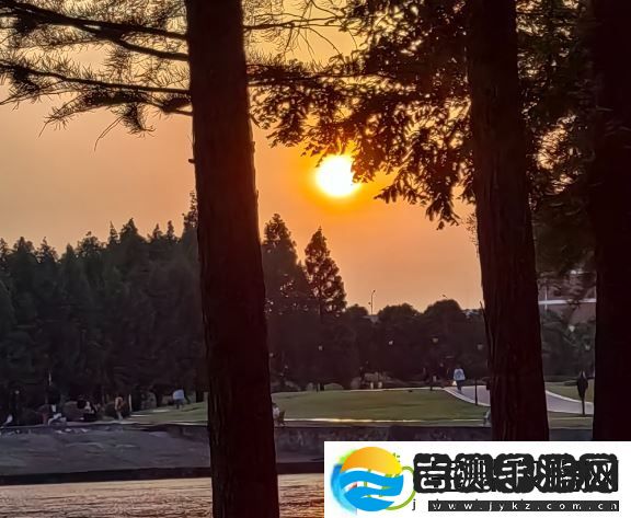 落日余晖中文全面指南从入门到精通
