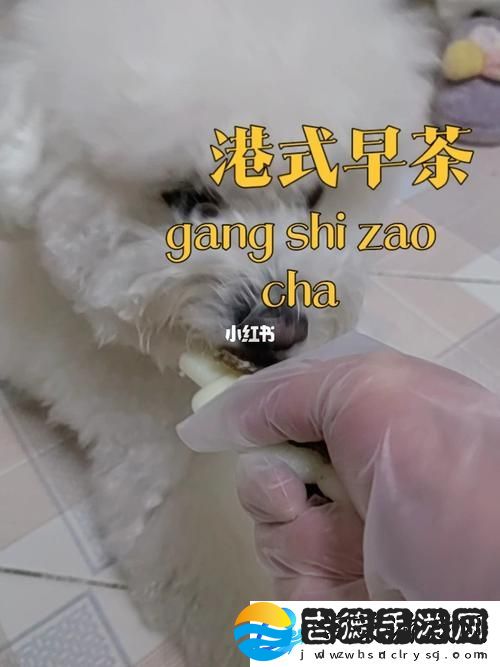 探索“美国人与动物胶配方大全”