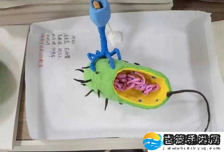 我成了生物课的教具
