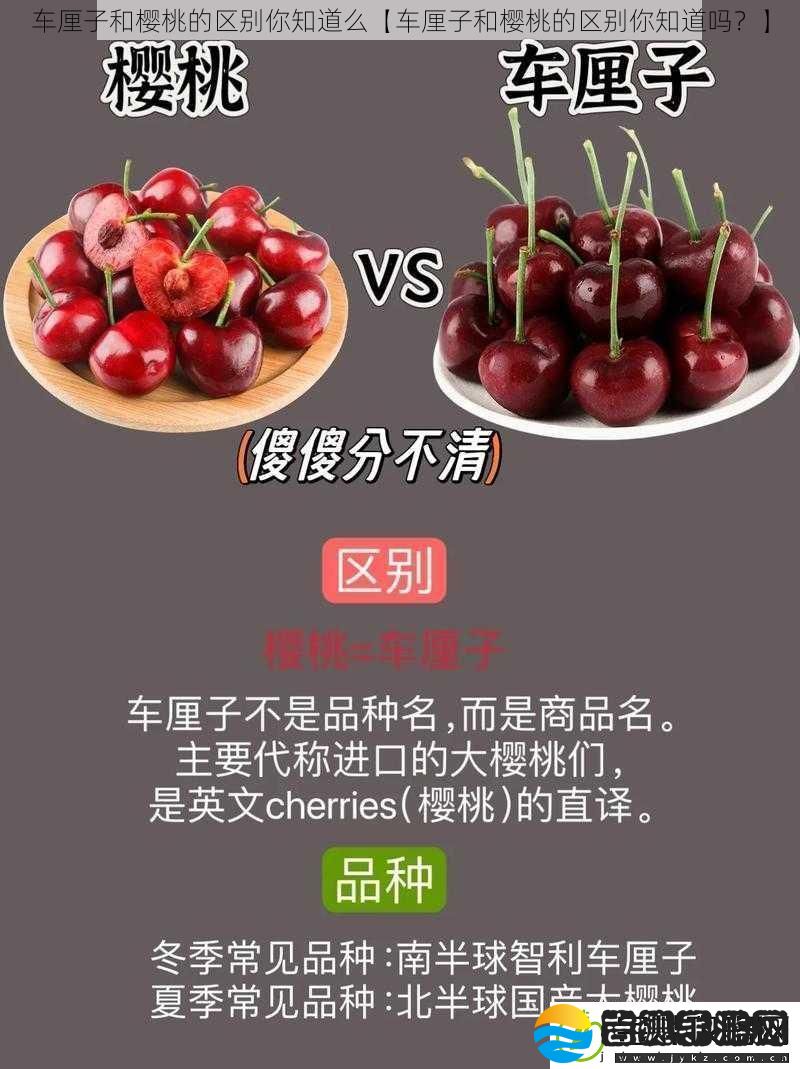 车厘子和樱桃的区别你知道么【车厘子和樱桃的区别你知道吗】