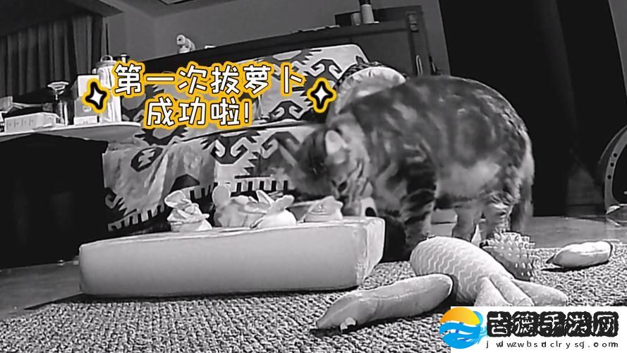 二人世界拔萝卜生猴子