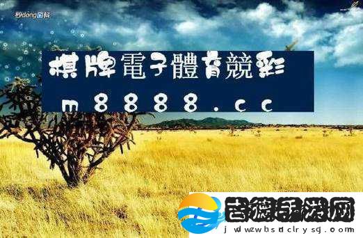 欧亚尺码专线欧洲