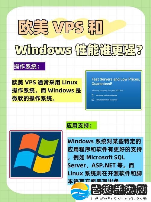 揭秘欧美VPSWINDOWS极品