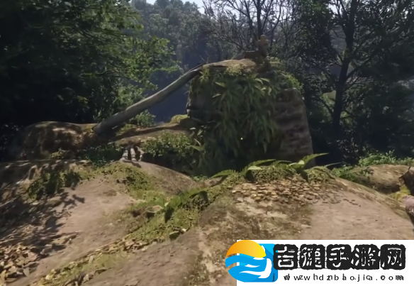 天国拯救2狮子纹章在哪里介绍