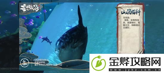 妄想山海普通异兽月亮鱼资料介绍