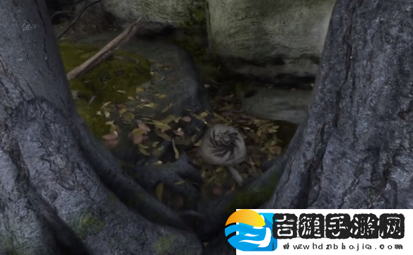 天国拯救2狮子纹章在哪里介绍