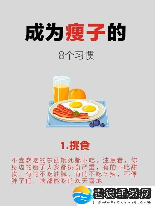 我的瘦子6免费版