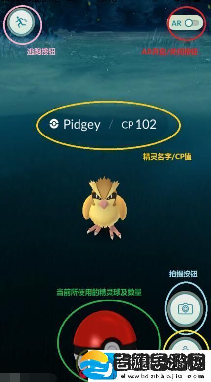 口袋妖怪GO怎么抓精灵口袋妖怪GO精灵捕捉最全攻略