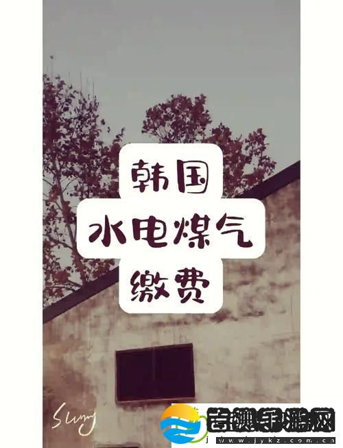电费单调好看的韩国三色电费