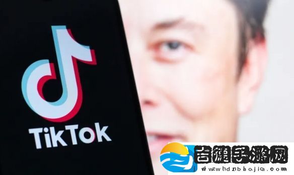 谣传马斯克要收购TikTok