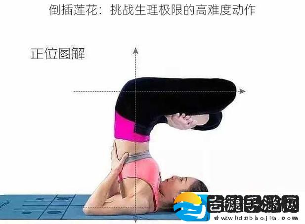 探索“倒插莲花图片”的艺术魅力与文化象征