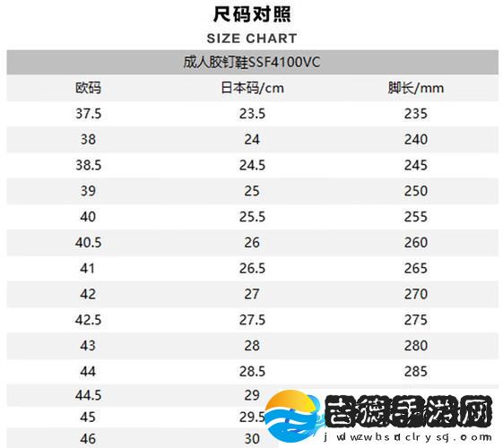 全面解析欧洲尺码与日本尺码