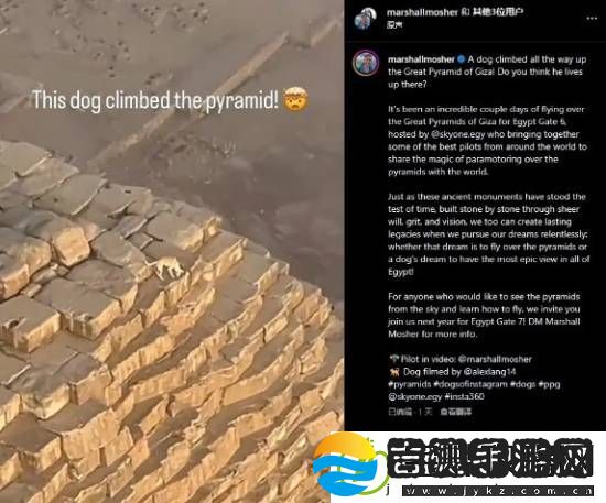 游你扯淡