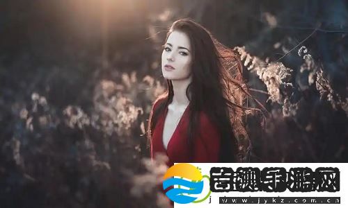 如何通过偿还债务的麦子3HD提升财务管理能力