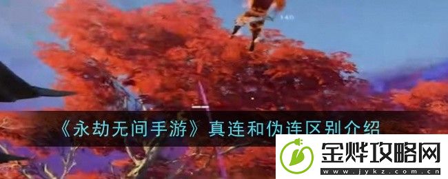 永劫无间手游真连和伪连有什么区别