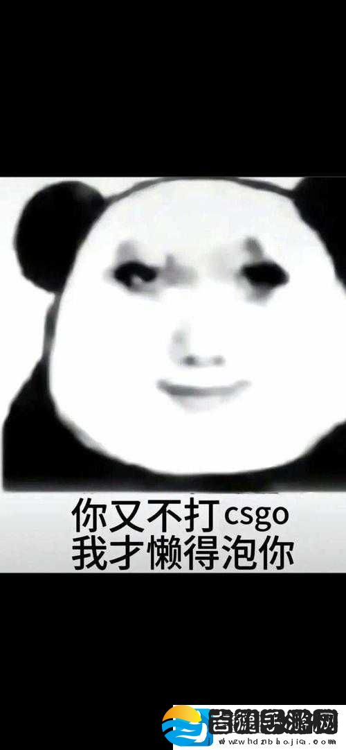 暴躁老姐的CSGO实战技巧分享