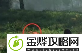 霍格沃茨之遗稀有材料合集一览