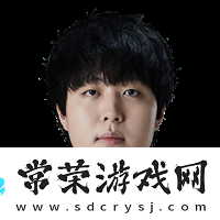 JDG战队LPL夏季赛名单