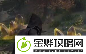 霍格沃茨之遗稀有材料合集一览