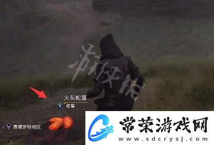 霍格沃茨之遗火灰蛇蛋在哪
