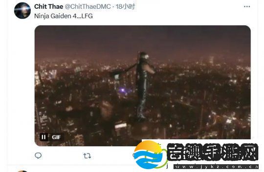 会是忍龙吗