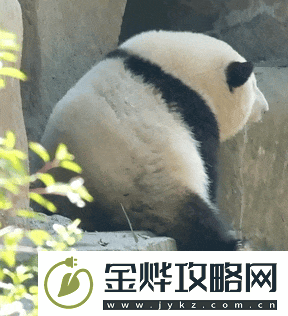 电影频道12.28放映马达加斯加