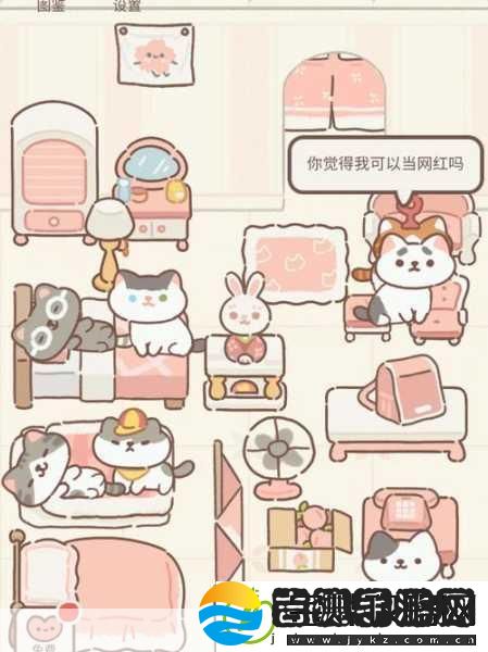 治愈心灵的养猫之旅