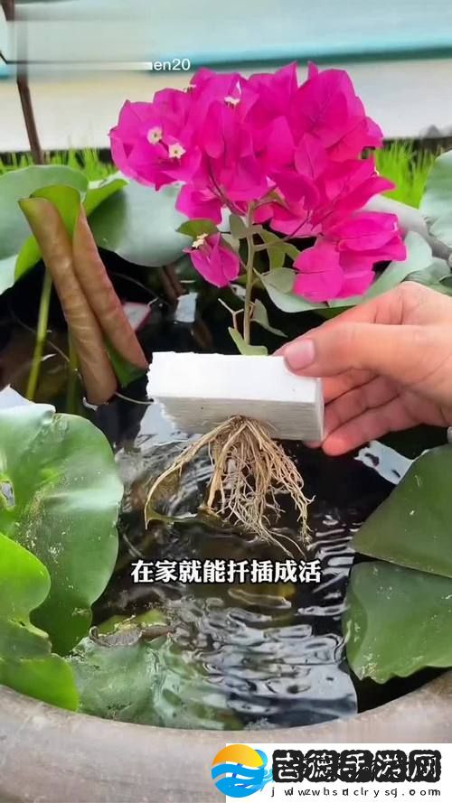 坐着扦插BB有什么好处