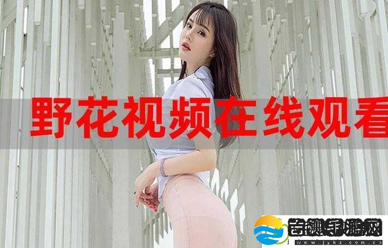 野花影视在线观看免费高清完整版韩国