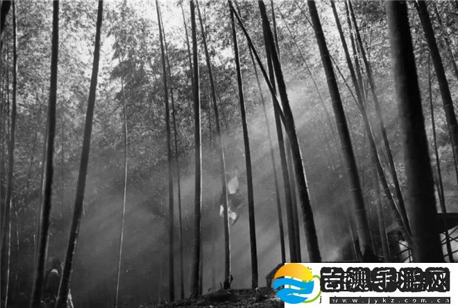 佳片之约