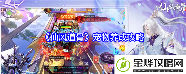 仙风道骨宠物养成攻略
