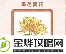 花店物语黄色菊花图鉴资料