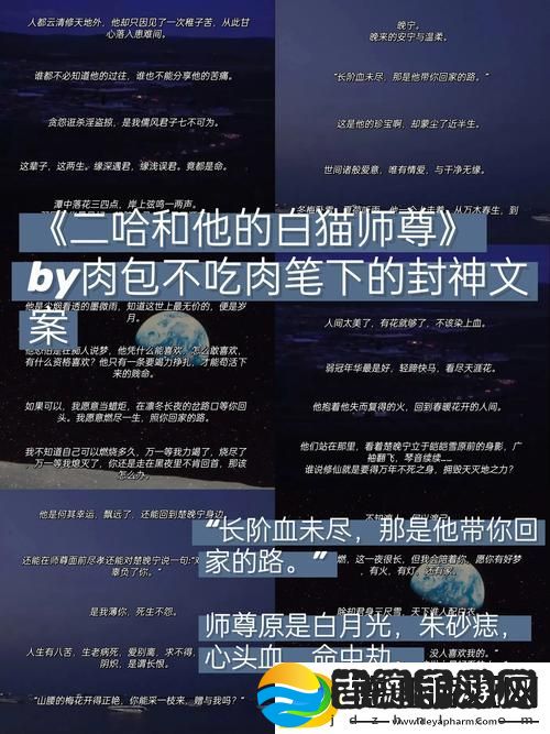 老乞丐未尽的命运长篇——他在街头的故事