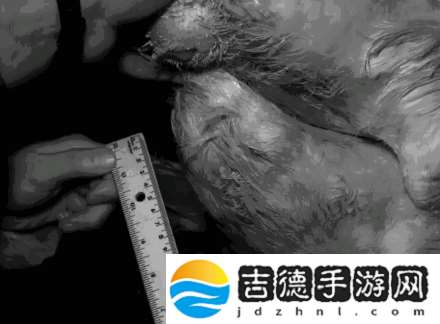 啊轻点灬大巴太粗太长了动态图