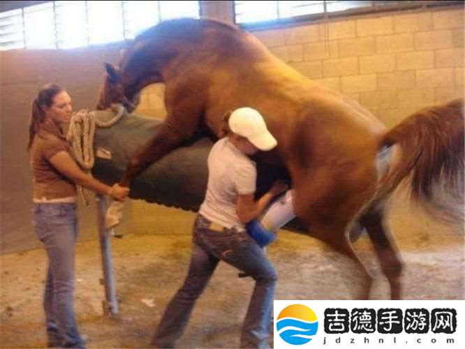奇葩“马配马种”