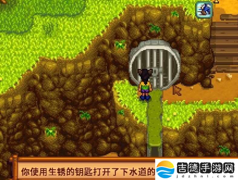 星露谷物语捐献了60不给钥匙解决方法