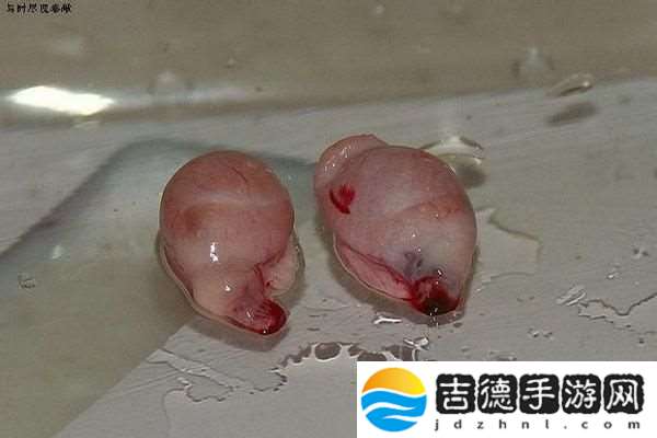 “GB四爱串珠排出来”