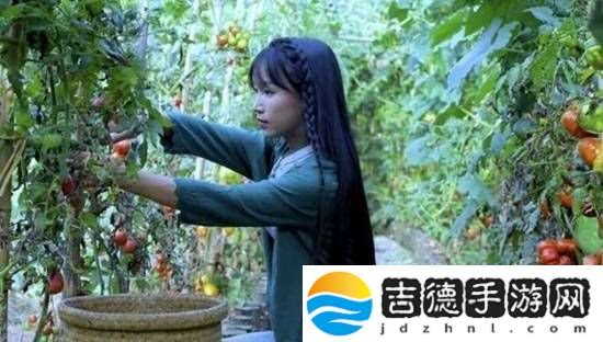 微念称与李子柒的案件已完全和解