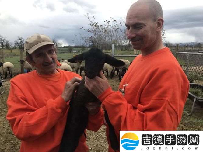 美国佬与动物们的超友谊