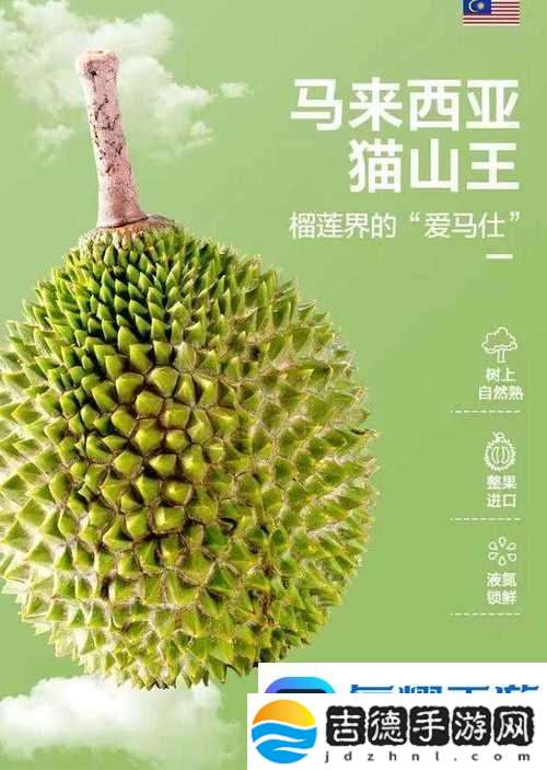 榴莲香蕉苹果哈密瓜水蜜桃的水果奇缘