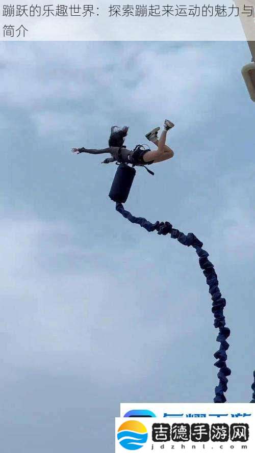 蹦跃的乐趣世界