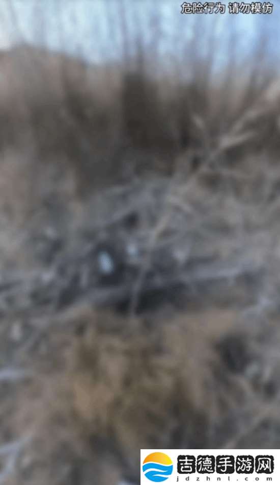“猛蛇过江”第3次在野外发现遗骸