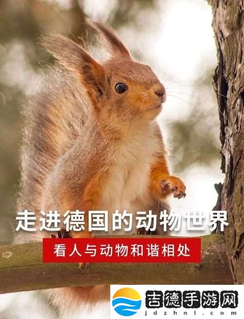 探讨“欧洲人物动物交互”中的文化意义与自然关系