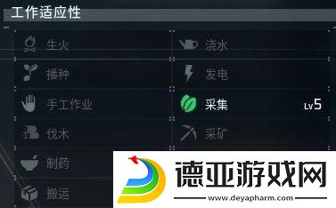 幻兽帕鲁唤夜兽怎么样
